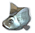 Fisch Icon.png
